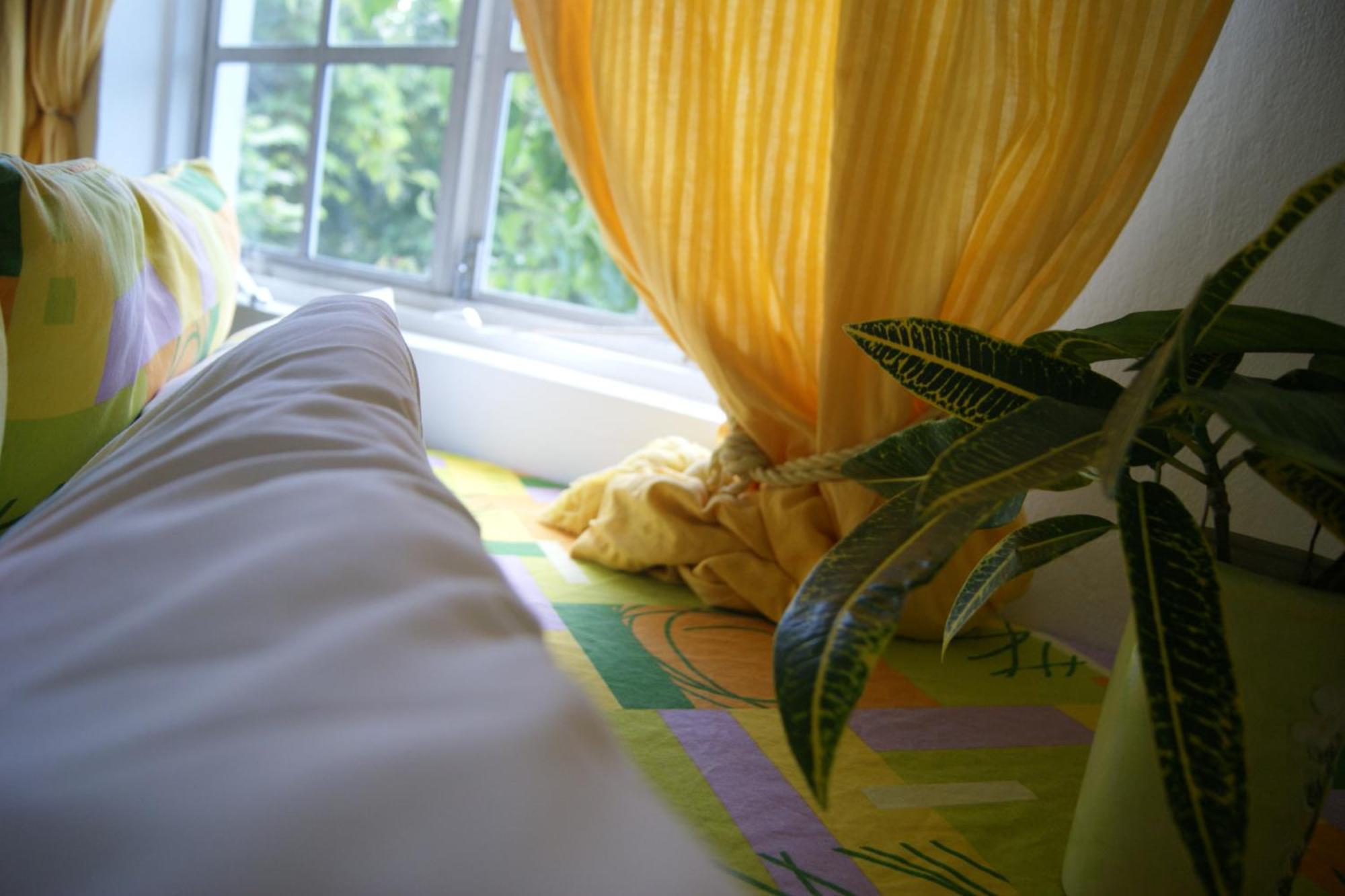 San San Tropez Otel Port Antonio Dış mekan fotoğraf